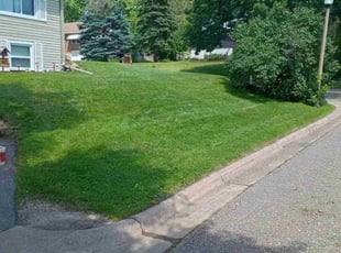 Alishan E.'s Lawn Care service result