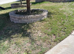 Leaf Removal by Juan Vazquez for Gustavo P. in San Antonio, TX