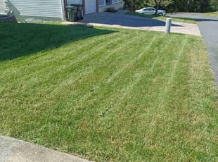 Timothy G.'s Lawn Maintenance service result