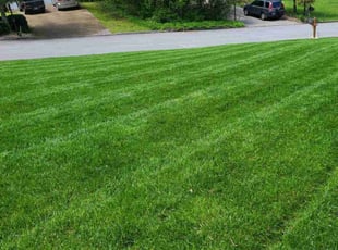 Clay D.'s Lawn Service service result