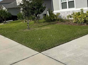 Amy N.'s Lawn Mowing Service service result
