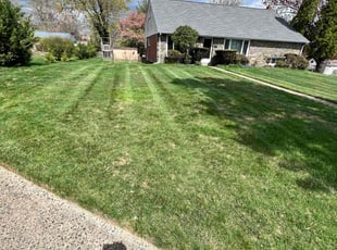 Elizabeth R.'s Yard Cutting service result