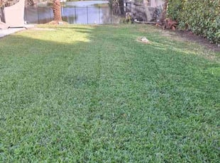 Leonard H.'s Lawn Mowing service result