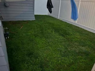 Kimberly S.'s Grass Cutting service result