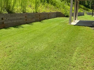Inrak L.'s Lawn Service service result