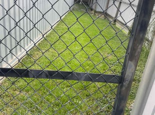 Cleo M.'s Yard Cutting service result