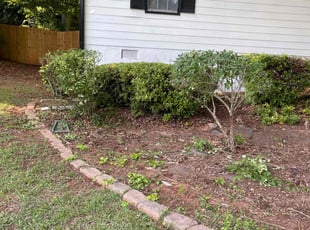 Bush Trimming by Joshua Bowles for Thomas D. in Covington, GA