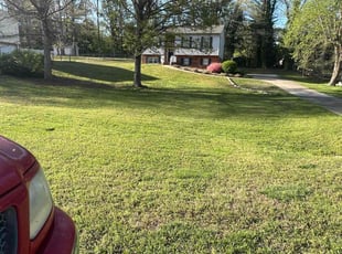 Prepped P.'s Yard Cutting service result