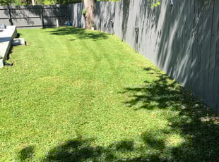 MaryAnne A.'s Lawn Mowing service result