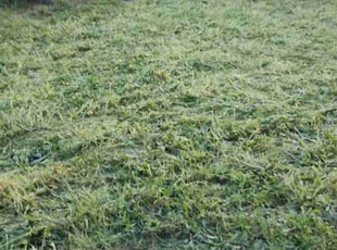 Cleanups by Keith Dalke for Jarvis J. in San Diego, CA