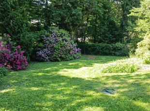 Matthew B.'s Lawn Maintenance service result