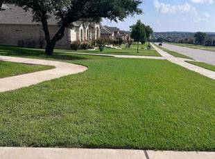 Tamra P.'s Grass Cutting service result