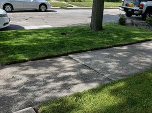Martha M.'s Grass Cutting service result