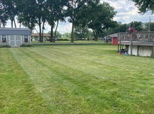Teresa S.'s Grass Cutting service result