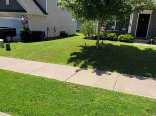 Randy W.'s Lawn Mowing Service service result