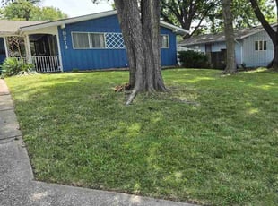 Mark T.'s Lawn Mowing service result