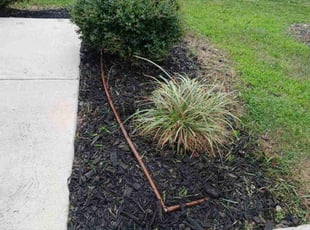 Rachel S.'s Flower Bed Weeding service result