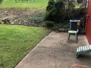 Bush Trimming by Bradley Taylor for Kevin B. in Pittsburgh, PA