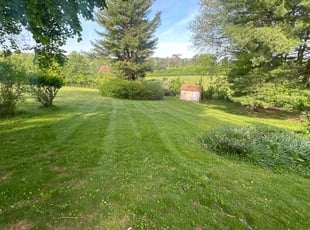 Rodney R.'s Lawn Mowing Service service result