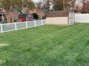 Bhushan K.'s Lawn Care service result