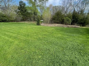 Belkys T.'s Lawn Mowing service result