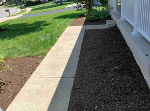 Alex B.'s Mulching service result