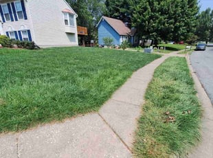 Joseph D.'s Lawn Service service result