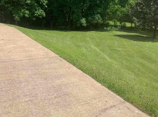 Allen B.'s Lawn Care service result