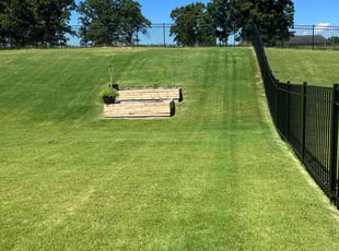 Alfreda C.'s Lawn Mowing service result