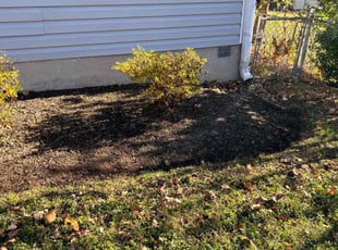 Weeding by Jason Scott for Katharine M. in Rockville, MD