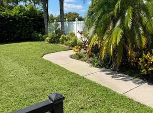 David M.'s Lawn Maintenance service result
