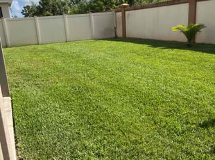 Tricia C.'s Lawn Maintenance service result