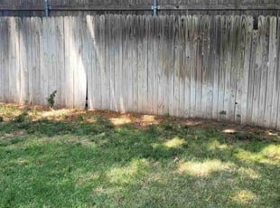 Jimmie G.'s Cleanups service result