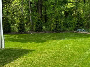 Michael H.'s Grass Cutting service result