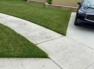 Christopher W.'s Yard Cutting service result