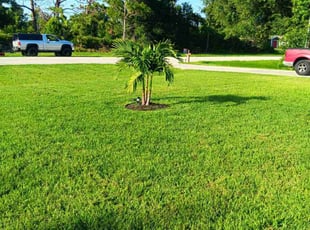 Lora K.'s Yard Cutting service result