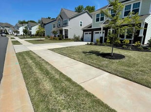 Sasha H.'s Lawn Service service result
