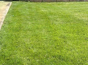 Josh R.'s Lawn Maintenance service result