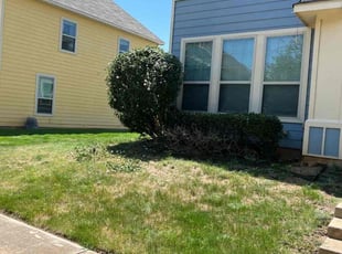 Bush Trimming by Quentin Morgan for John G. in Denton, TX
