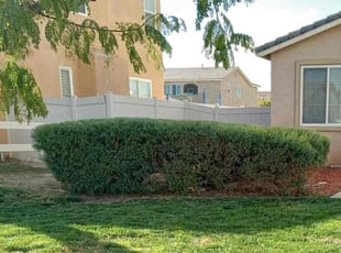 Bush Trimming by Jonathan Chavez for Gloria J. in Adelanto, CA