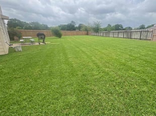 Vanessa V.'s Lawn Care service result