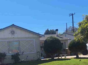 Doug R.'s Bush Trimming service result