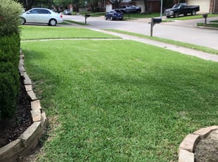 Harry S.'s Lawn Mowing Service service result
