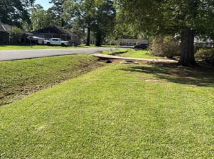 Iona D.'s Grass Cutting service result
