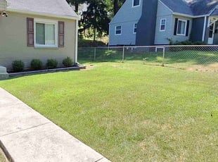 ROOSEVELT G.'s Lawn Care service result