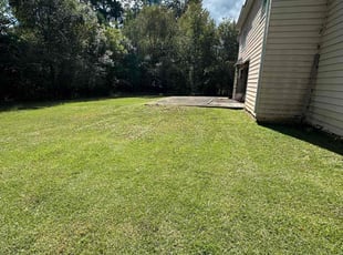 Stephanie A.'s Lawn Mowing service result