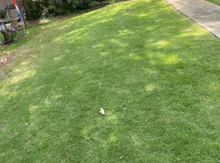 Savannah D.'s Lawn Service service result