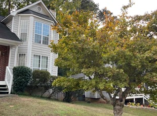 Bush Trimming by C.J. Cooley for Luke E. in Marietta, GA