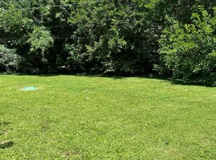 David B.'s Lawn Service service result