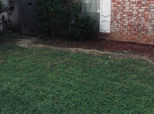 Bush Trimming by Chaes Pate for Kevin & Connie F. in San Antonio, TX